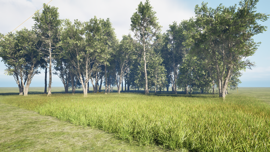 PCG SPLINE BIOME.