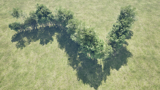PCG TRESS ON A SPLINE.