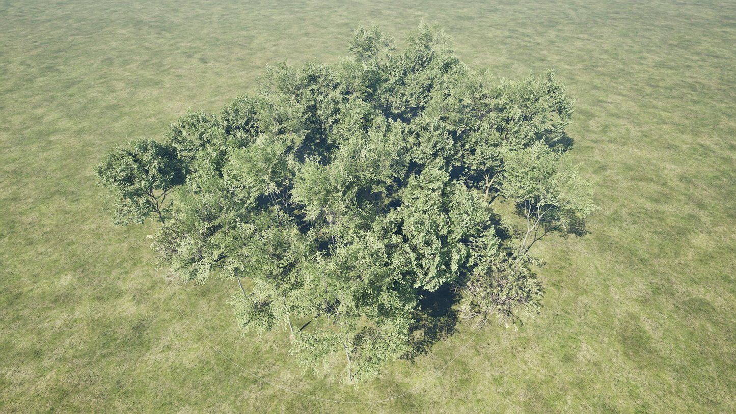 PCG TREES INSIDE SPLINE AREA