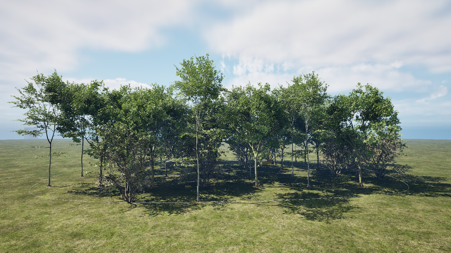 PCG TREES INSIDE SPLINE AREA