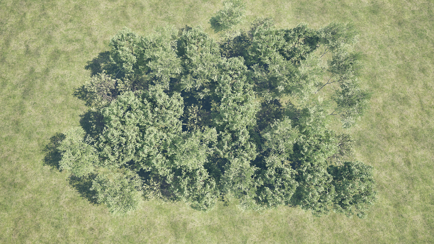 PCG TREES INSIDE SPLINE AREA