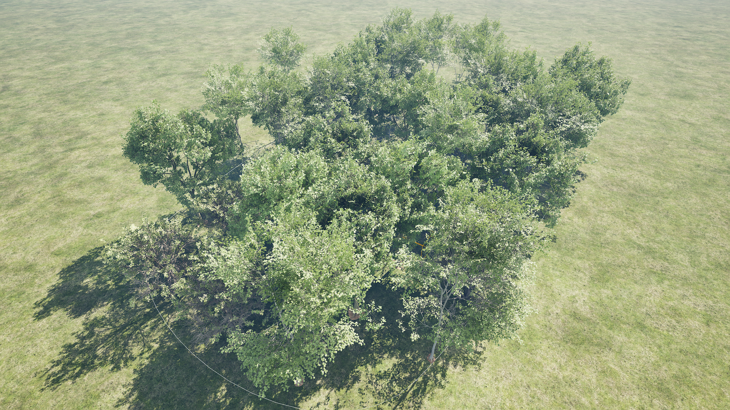 PCG TREES INSIDE SPLINE AREA