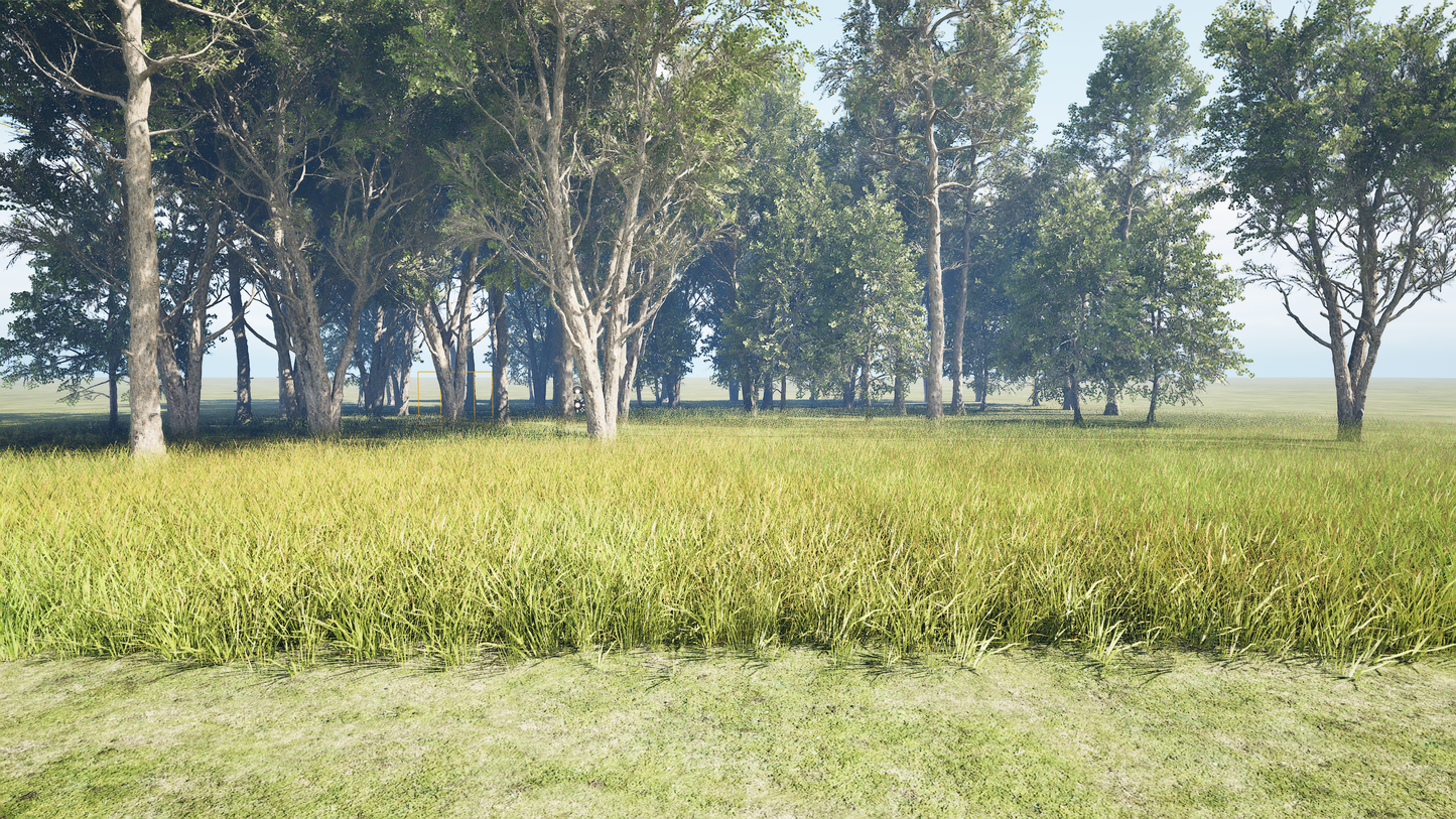 PCG SPLINE BIOME.