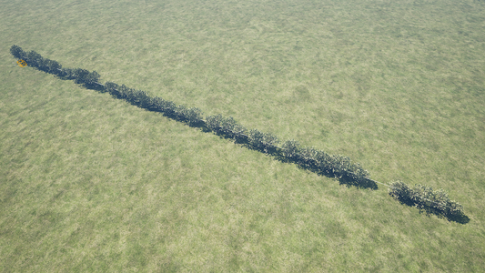 PCG FOLIAGE ON A SPLINE.
