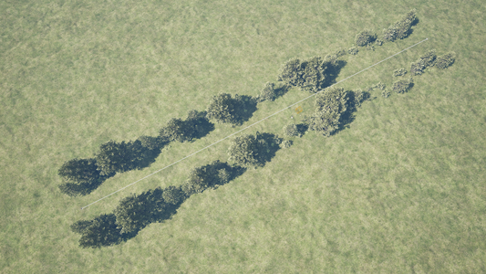 PCG FOLIAGE ON BOTH SIDES OF A ROAD.